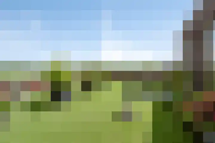 Skûtsje 104 Gorredijk thumbnail 31