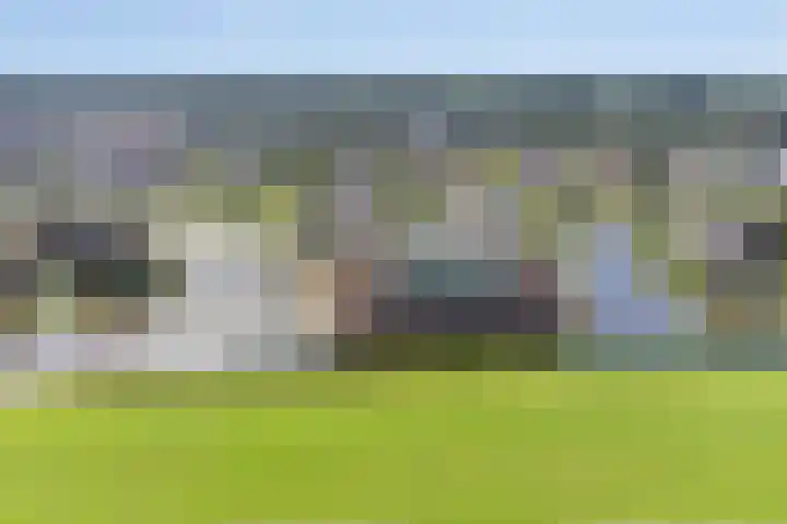 Skûtsje 104 Gorredijk thumbnail 42