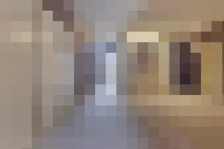 Skûtsje 104 Gorredijk thumbnail 7
