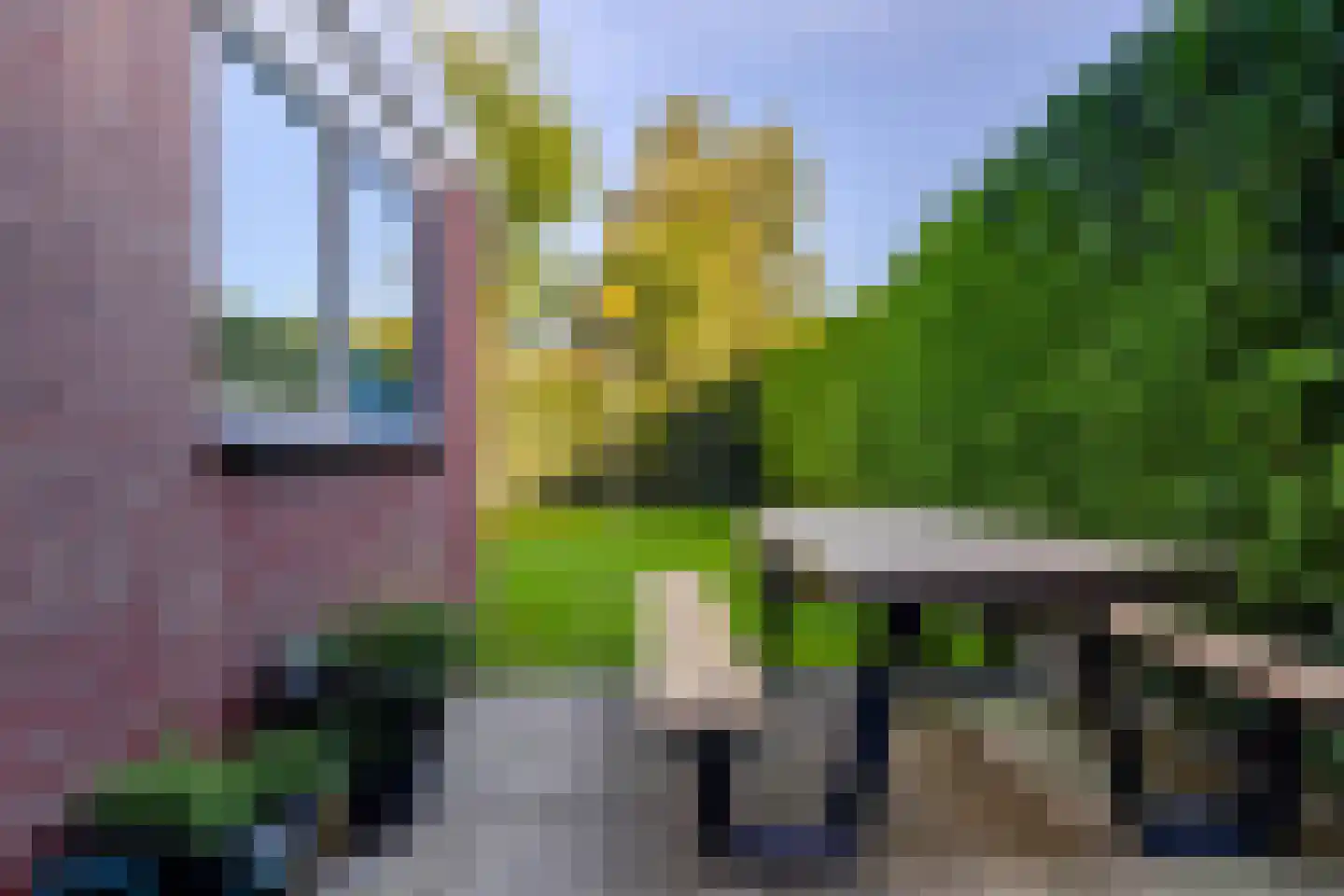 Skûtsje 15 Gorredijk thumbnail 12
