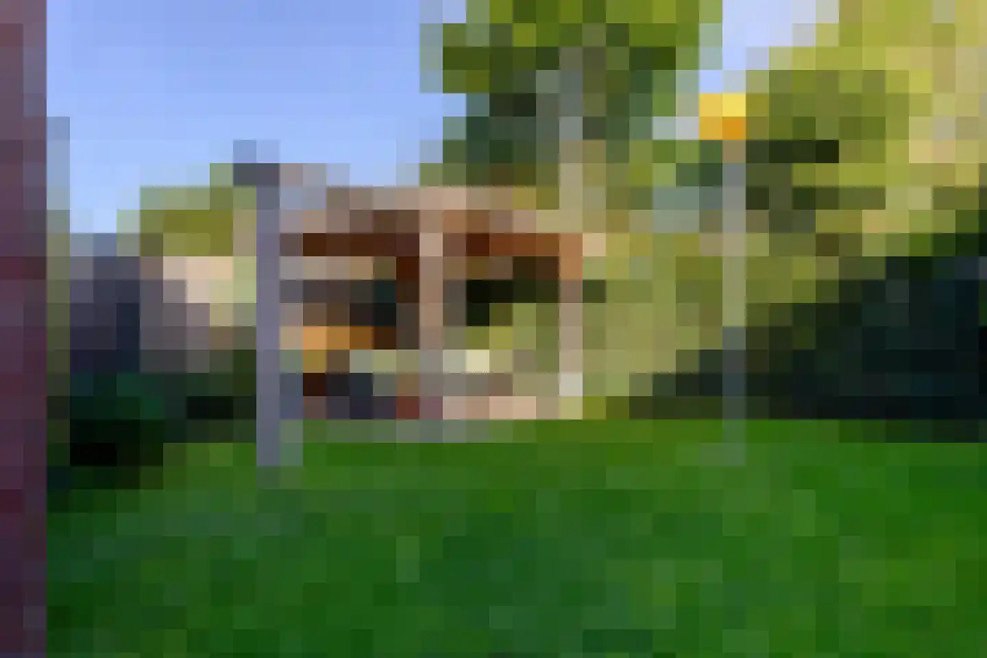 Skûtsje 15 Gorredijk thumbnail 13