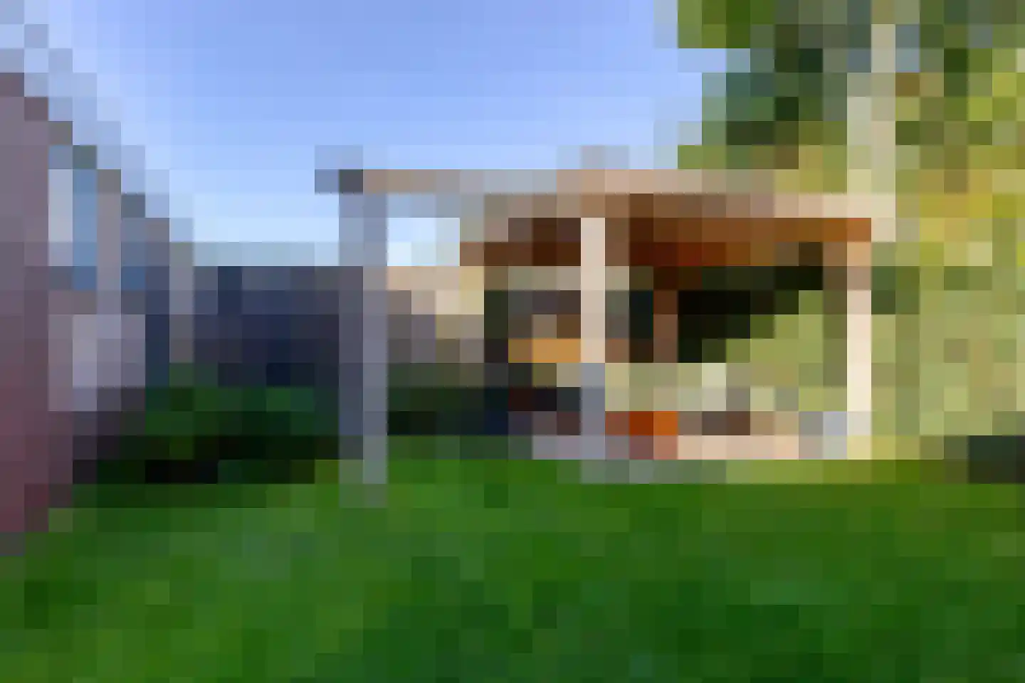 Skûtsje 15 Gorredijk thumbnail 16