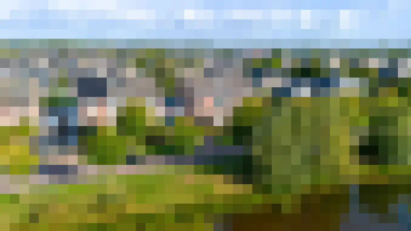 Skûtsje 15 Gorredijk thumbnail 20