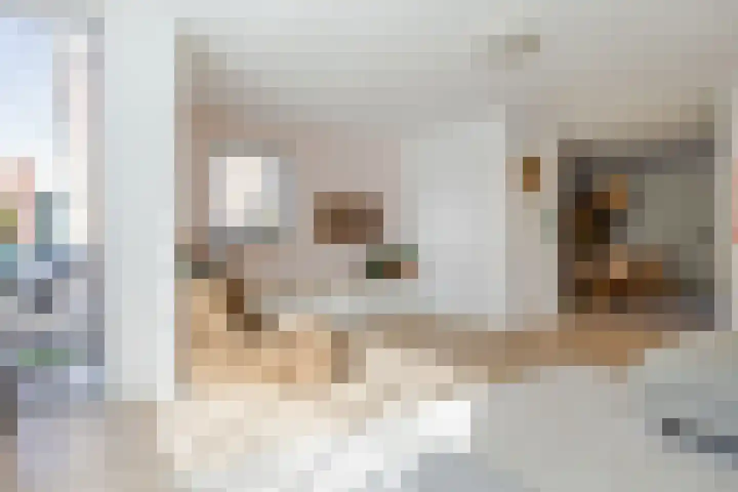 Skûtsje 15 Gorredijk thumbnail 26