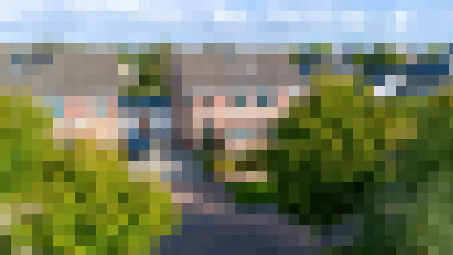Skûtsje 15 Gorredijk thumbnail 9