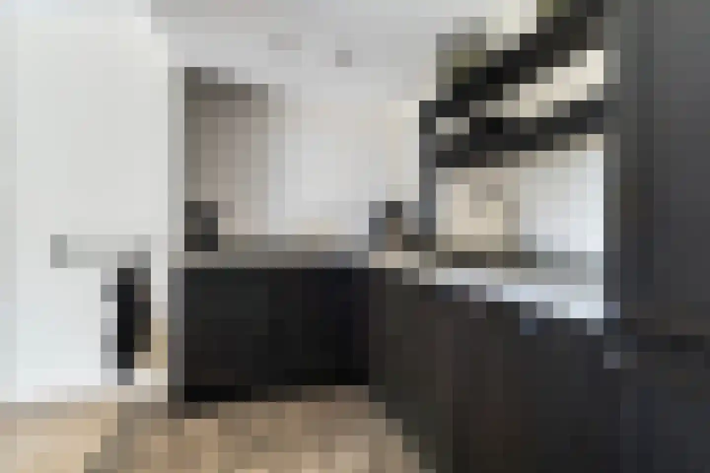 Skûtsje 33 Stiens thumbnail 10
