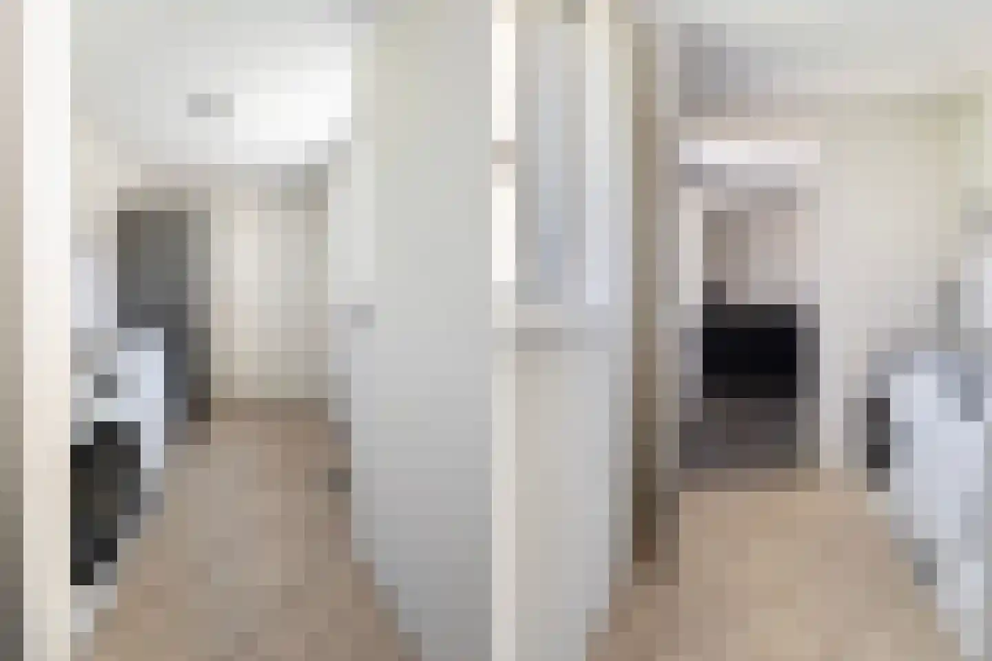 Skûtsje 33 Stiens thumbnail 12