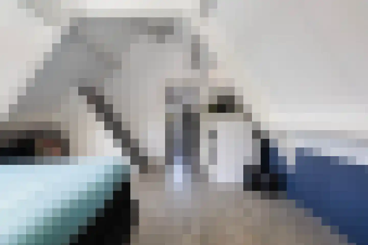 Skûtsje 33 Stiens thumbnail 17