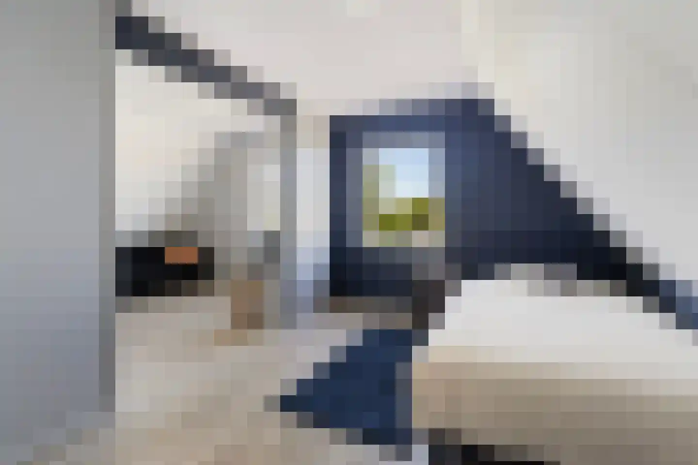 Skûtsje 33 Stiens thumbnail 22