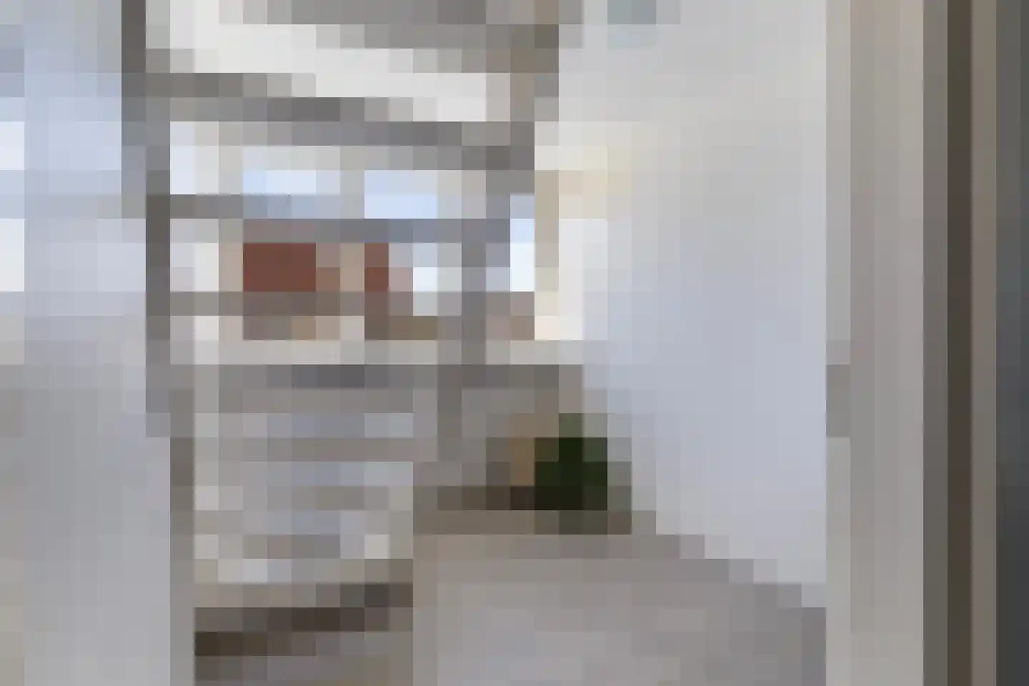 Skûtsje 33 Stiens thumbnail 28