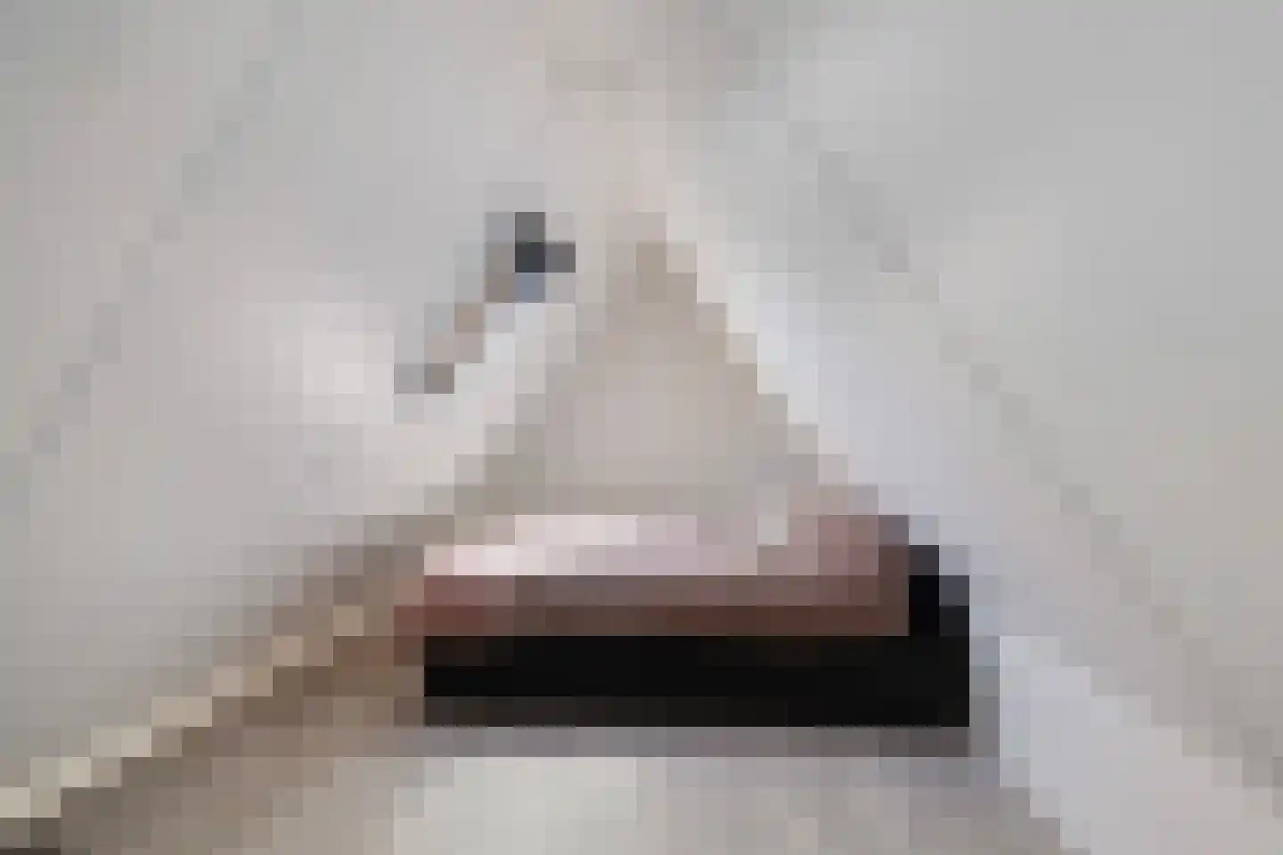 Skûtsje 33 Stiens thumbnail 29