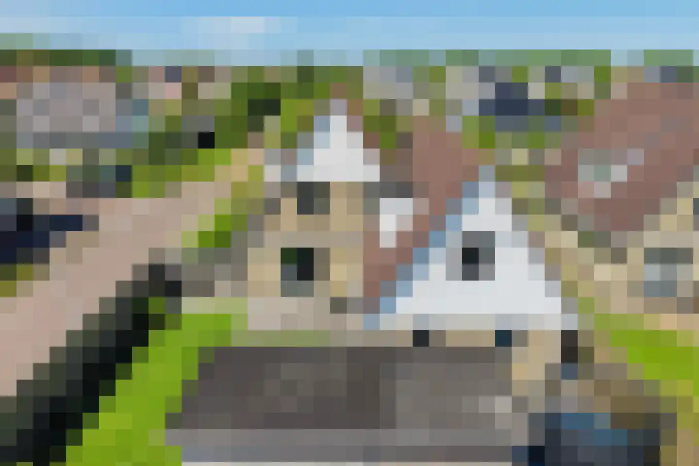 Skûtsje 33 Stiens thumbnail 32