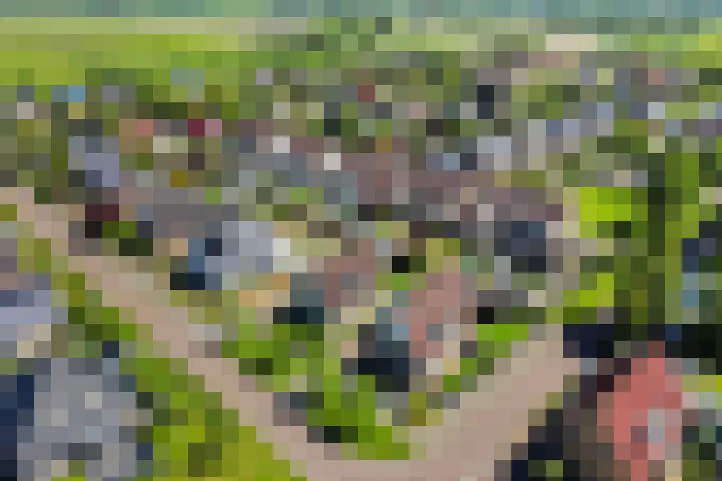 Skûtsje 33 Stiens thumbnail 38