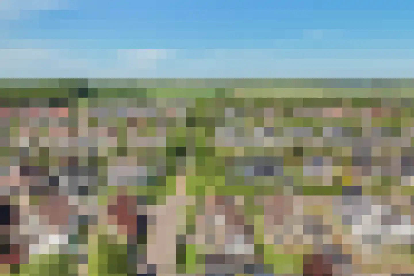 Skûtsje 33 Stiens thumbnail 39