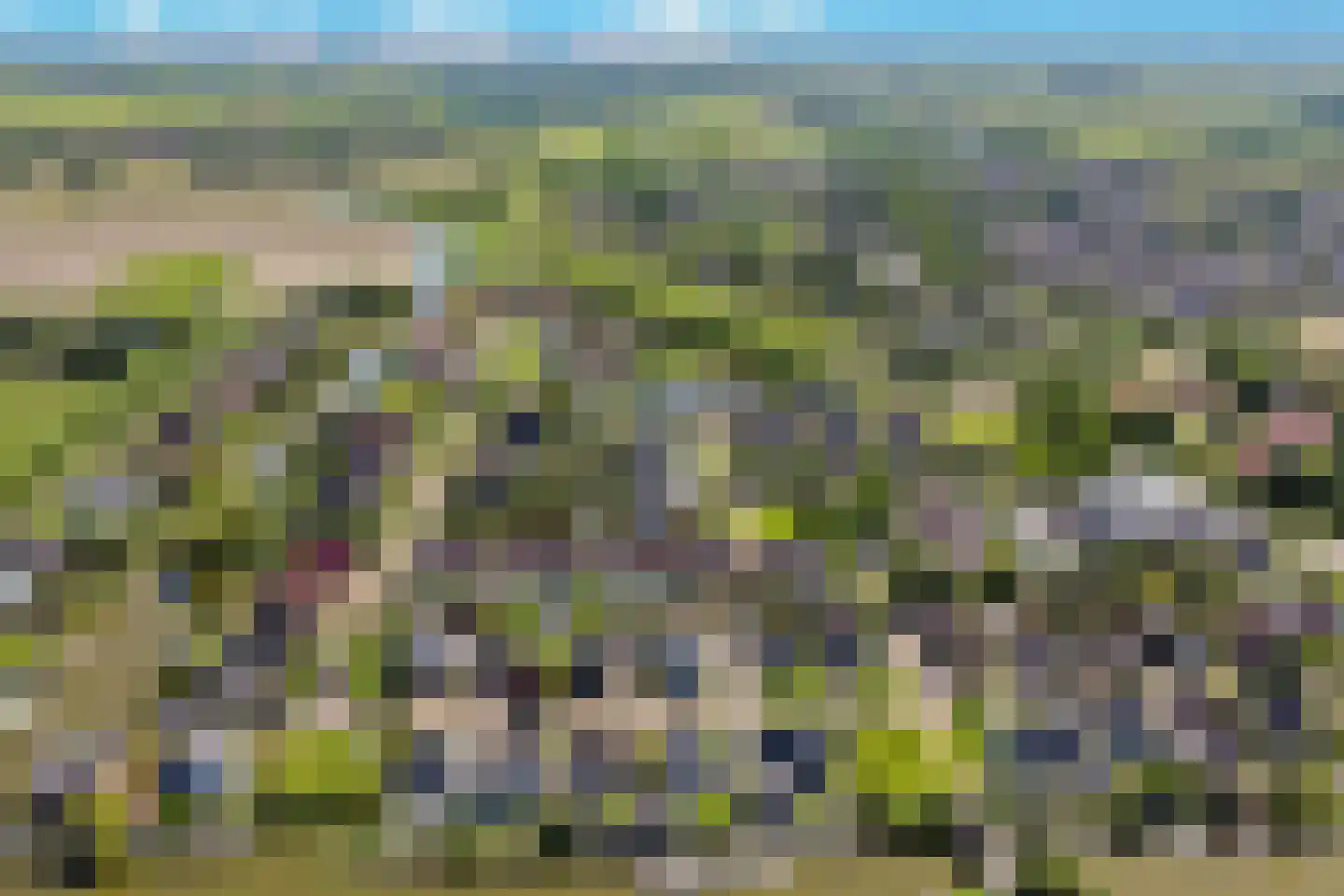 Skûtsje 33 Stiens thumbnail 40