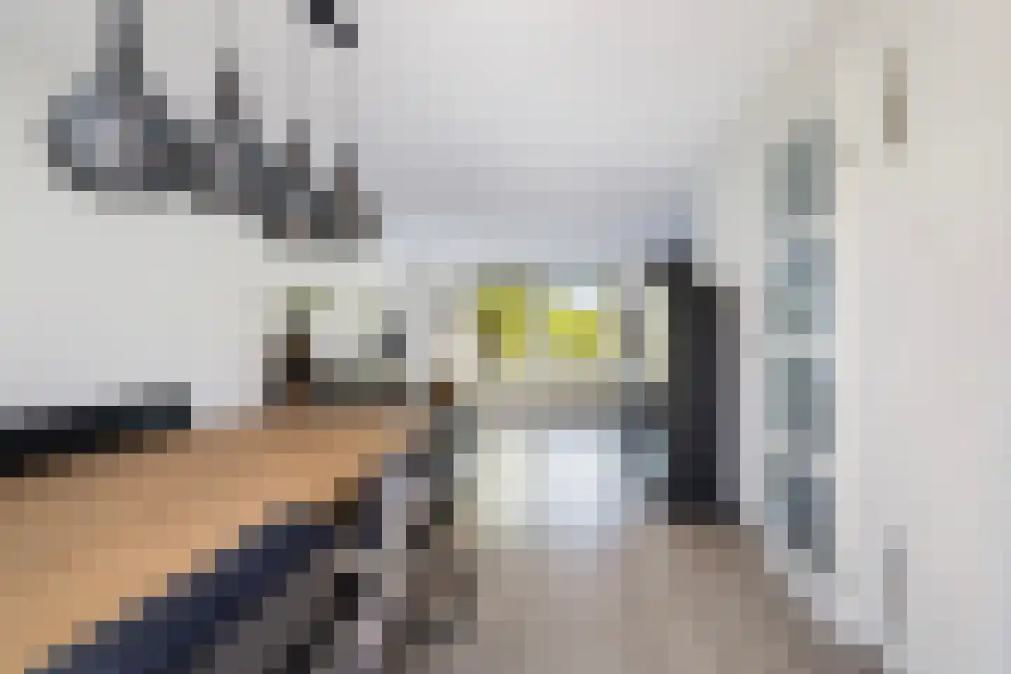 Skûtsje 33 Stiens thumbnail 6