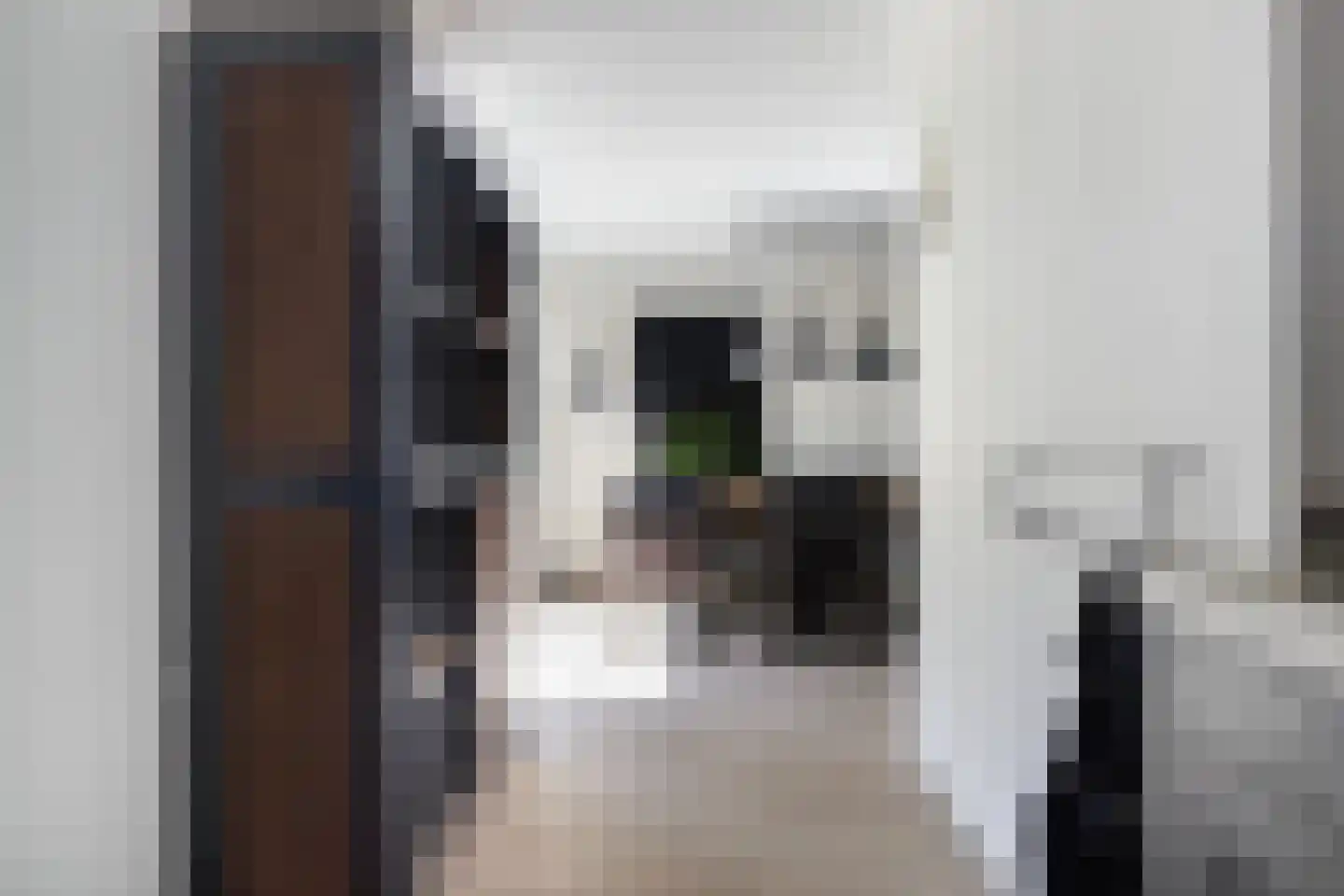 Skûtsje 33 Stiens thumbnail 8