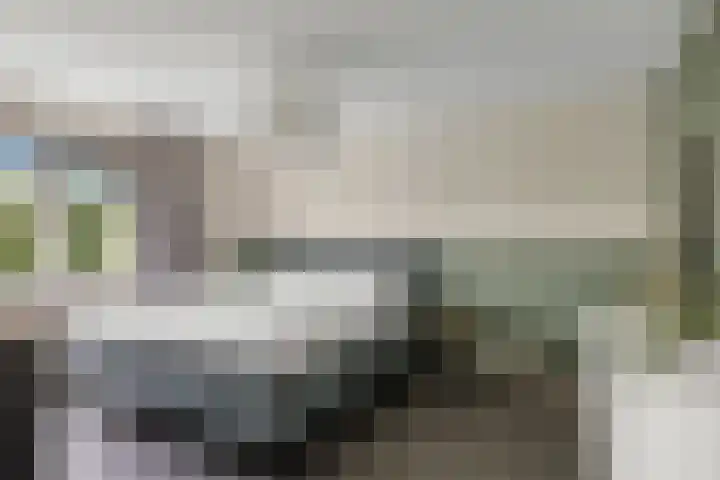 Skûtsje 41 Gorredijk thumbnail 21