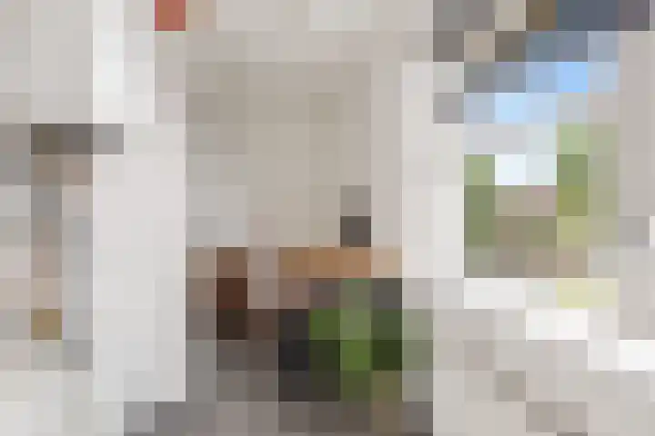 Skûtsje 41 Gorredijk thumbnail 27