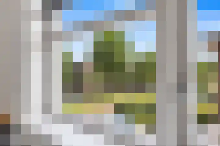 Skûtsje 41 Gorredijk thumbnail 29