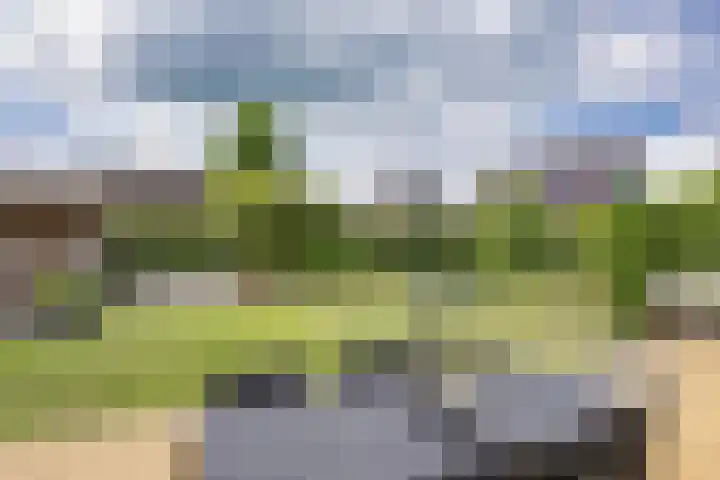 Skûtsje 41 Gorredijk thumbnail 34