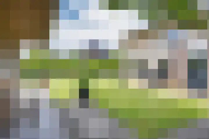 Skûtsje 41 Gorredijk thumbnail 36