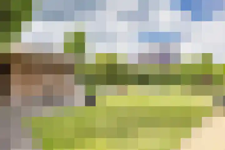 Skûtsje 41 Gorredijk thumbnail 37