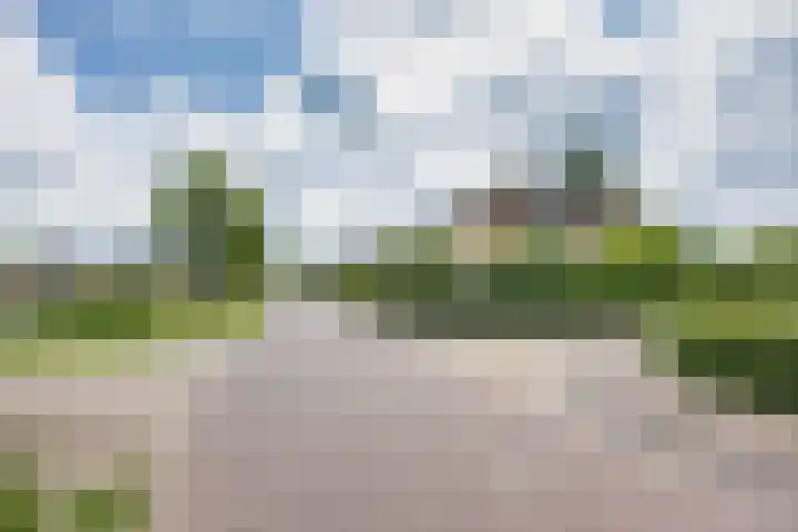 Skûtsje 41 Gorredijk thumbnail 39