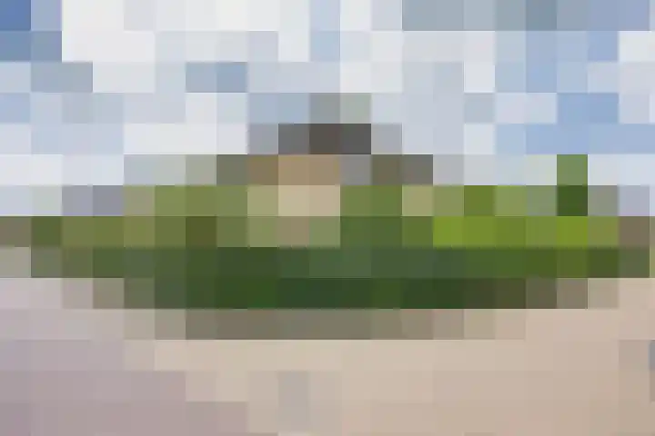 Skûtsje 41 Gorredijk thumbnail 40