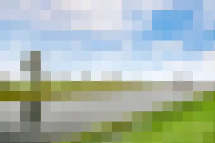 Skûtsje 41 Gorredijk thumbnail 43