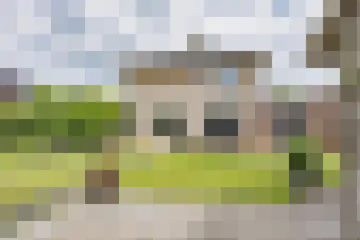 Skûtsje 41 Gorredijk thumbnail 6