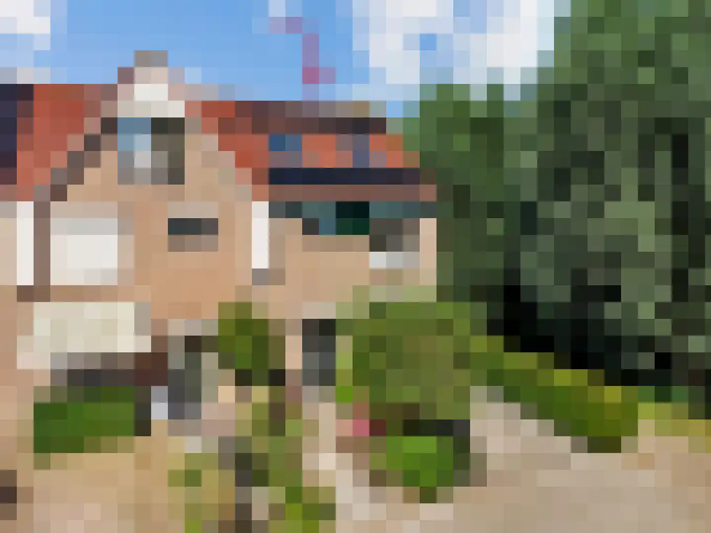 Skûtsje 41 Woerden foto 2