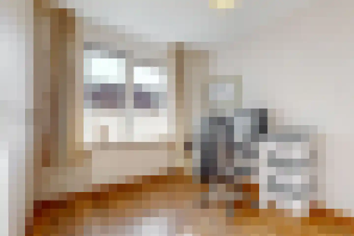 Skûtsje 41 Woerden thumbnail 23