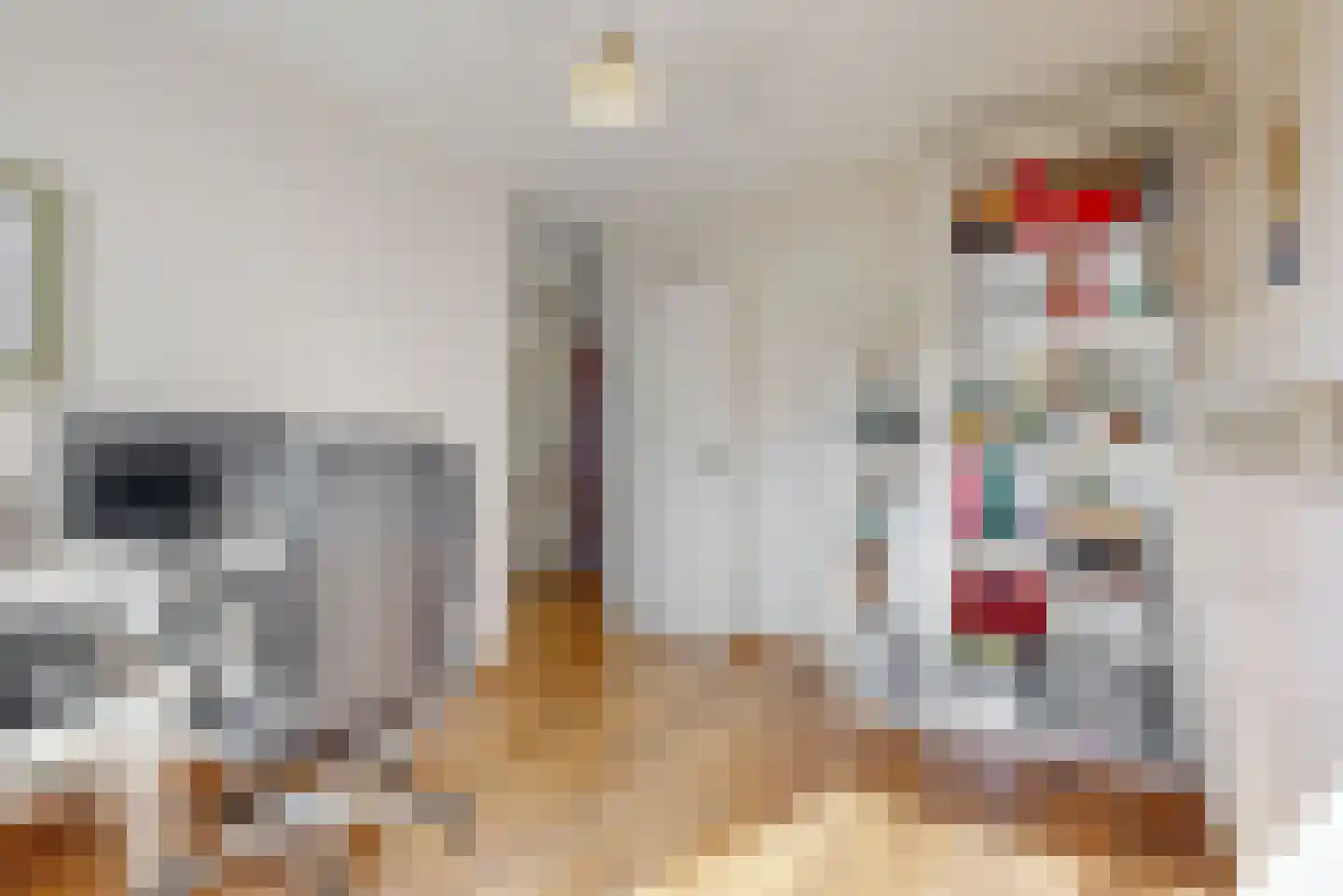 Skûtsje 41 Woerden thumbnail 24