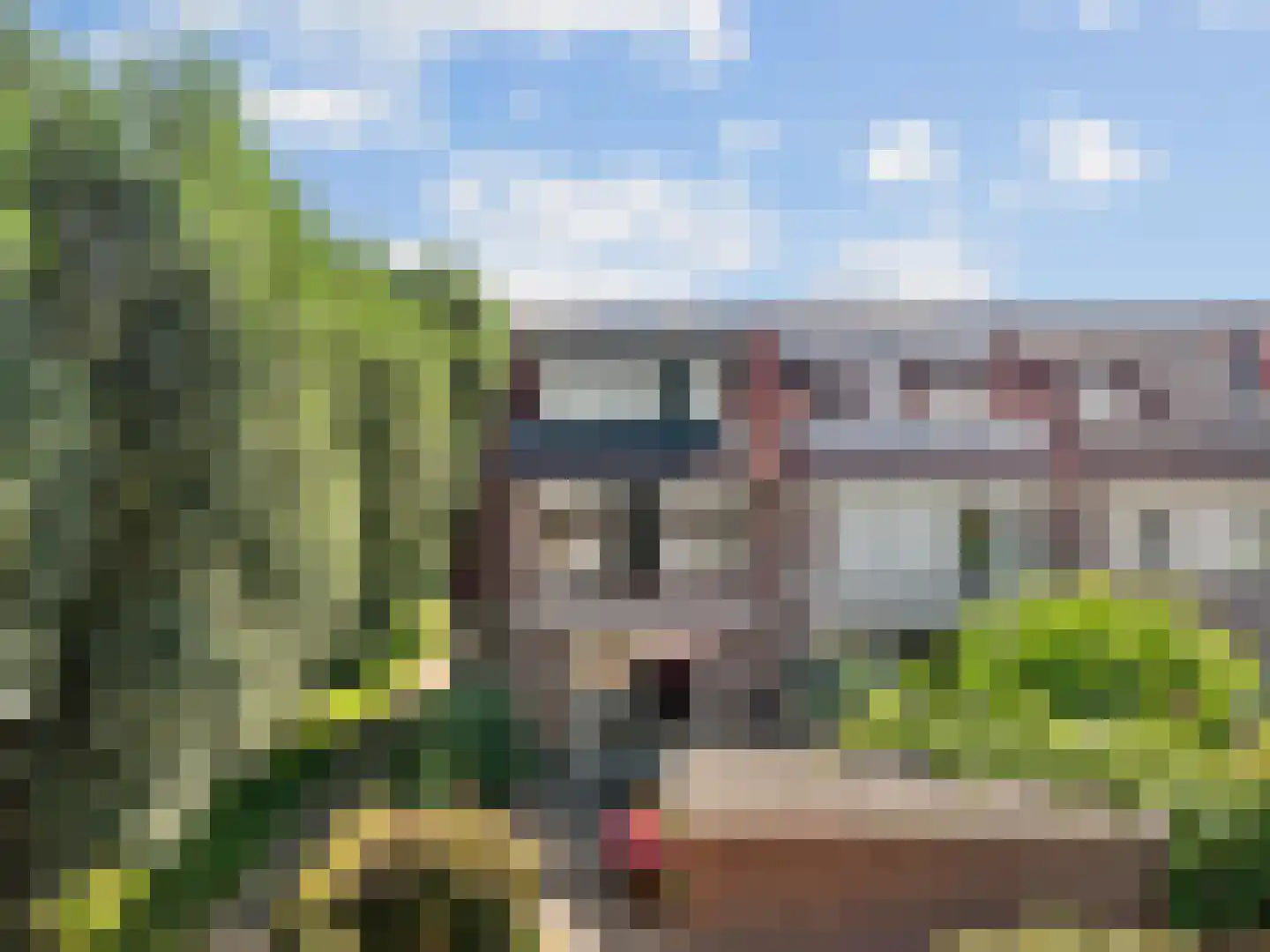 Skûtsje 41 Woerden foto 3