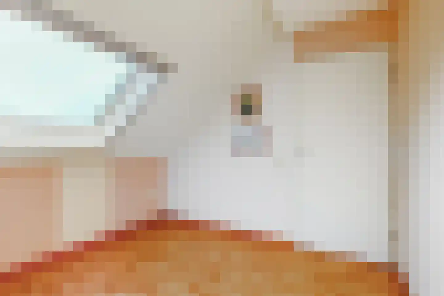 Skûtsje 41 Woerden thumbnail 30