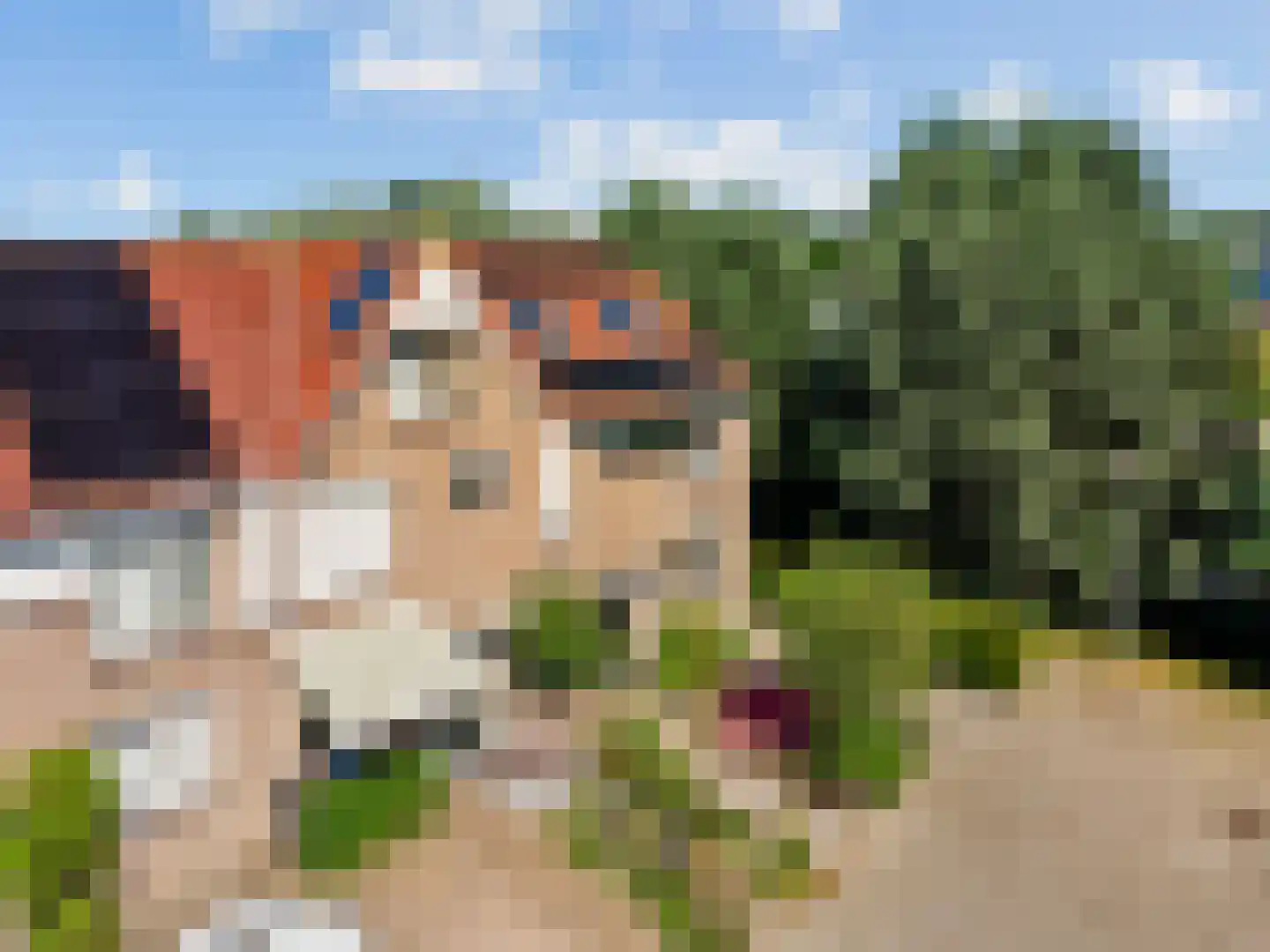 Skûtsje 41 Woerden thumbnail 37