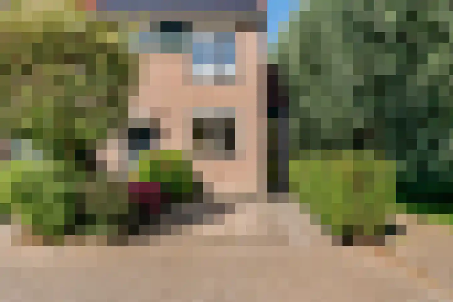 Skûtsje 41 Woerden thumbnail 39