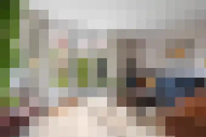 Skûtsje 43 Woerden thumbnail 11