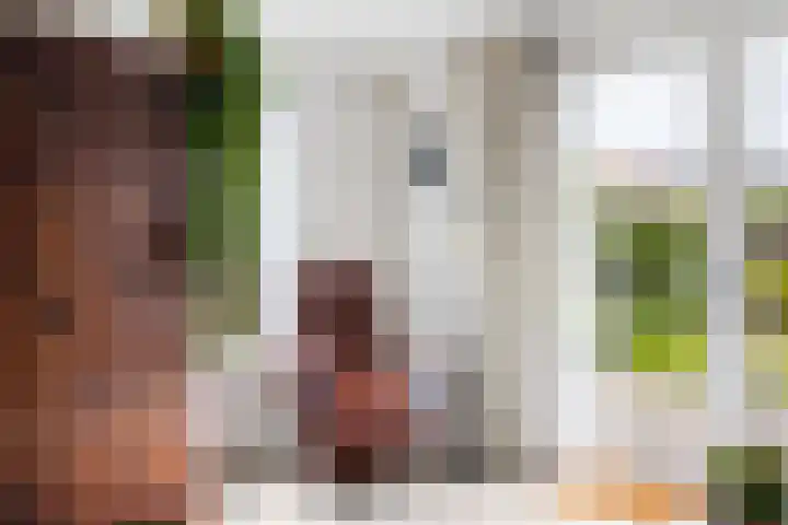 Skûtsje 43 Woerden thumbnail 14