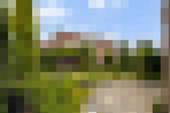 Skûtsje 43 Woerden foto 2