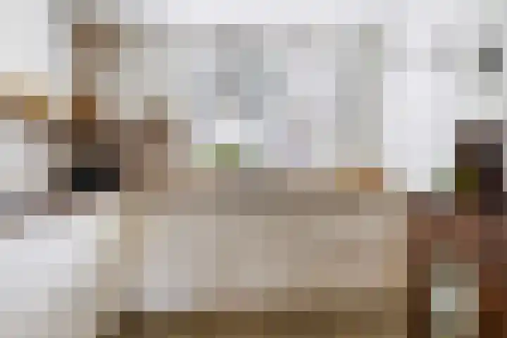 Skûtsje 43 Woerden thumbnail 20