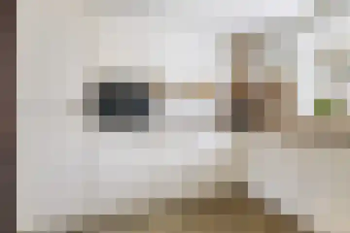 Skûtsje 43 Woerden thumbnail 21