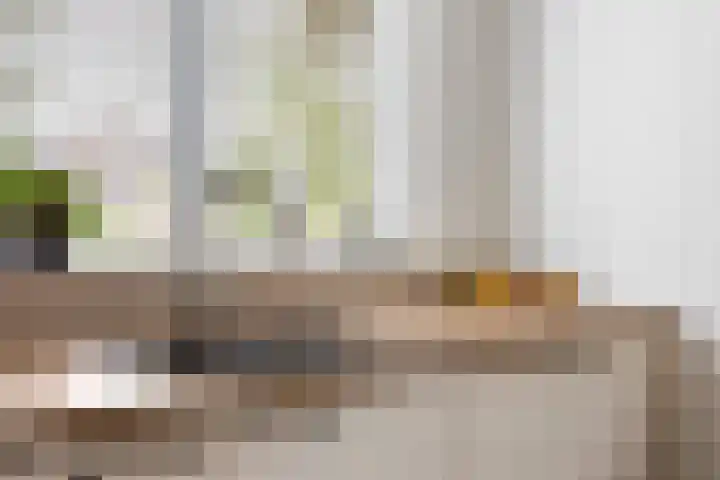 Skûtsje 43 Woerden thumbnail 23