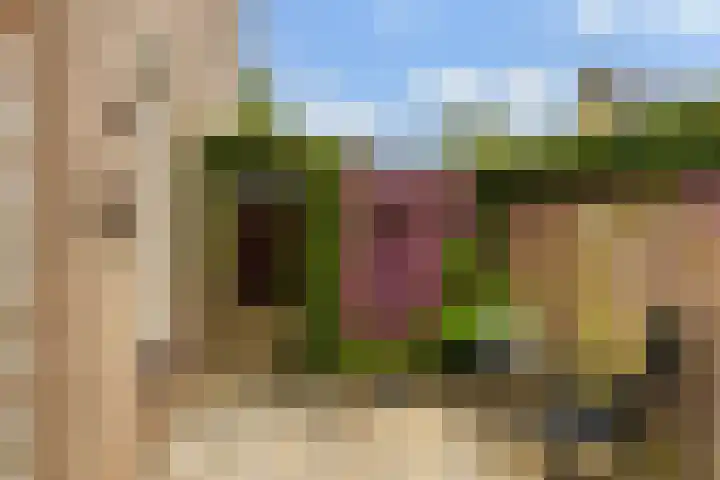 Skûtsje 43 Woerden thumbnail 25