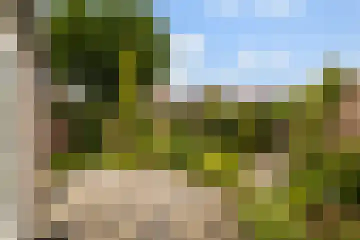 Skûtsje 43 Woerden thumbnail 26