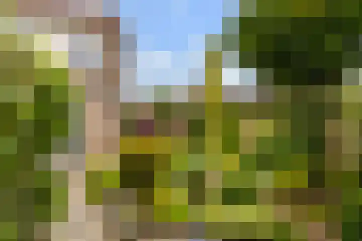 Skûtsje 43 Woerden thumbnail 27