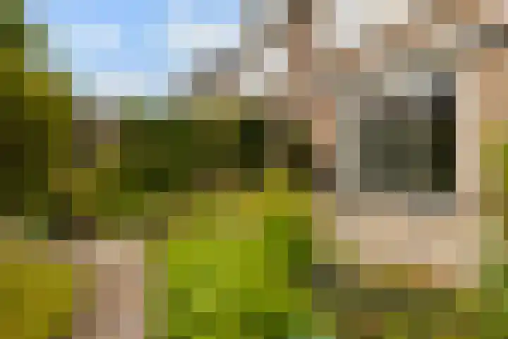 Skûtsje 43 Woerden thumbnail 29
