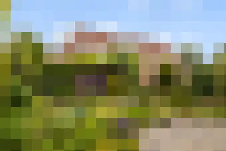 Skûtsje 43 Woerden thumbnail 31
