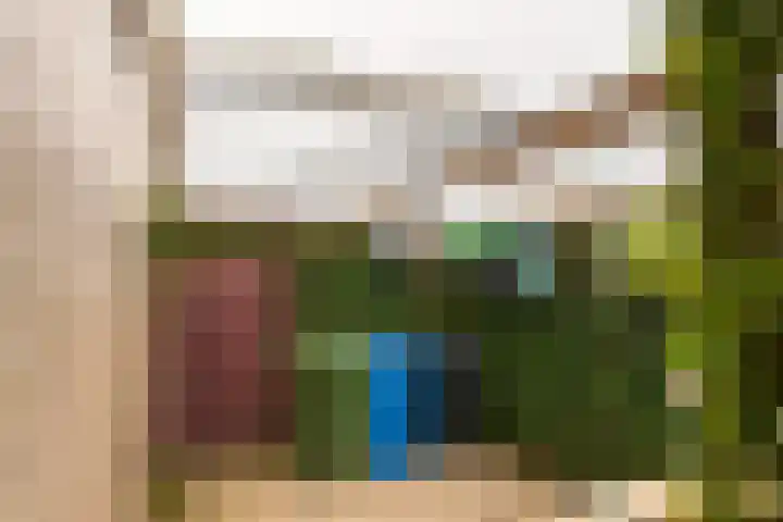 Skûtsje 43 Woerden thumbnail 33